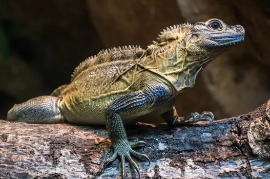 6377222807425217025241229