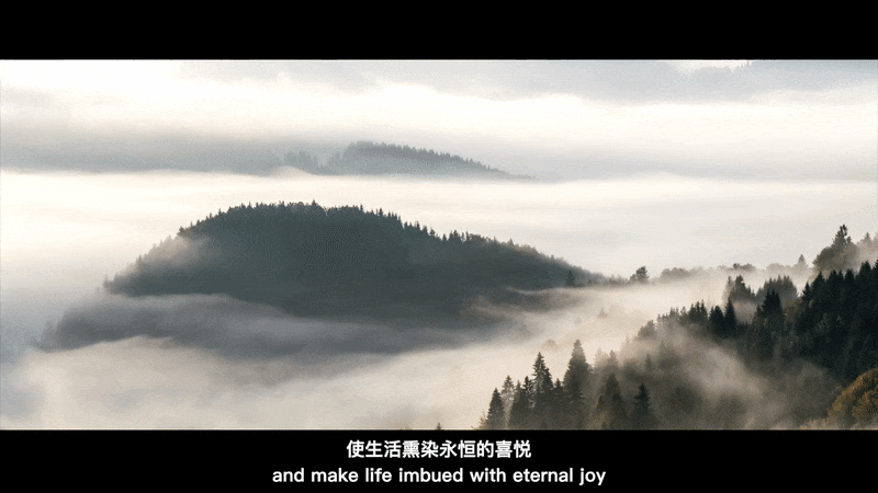 6377448562424742534159660