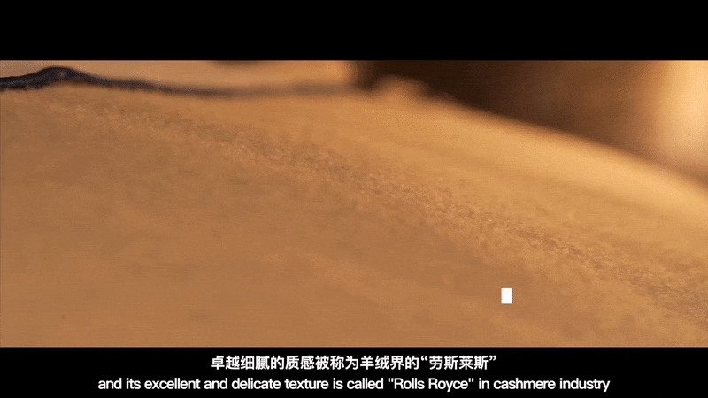 6377448562825816514700216