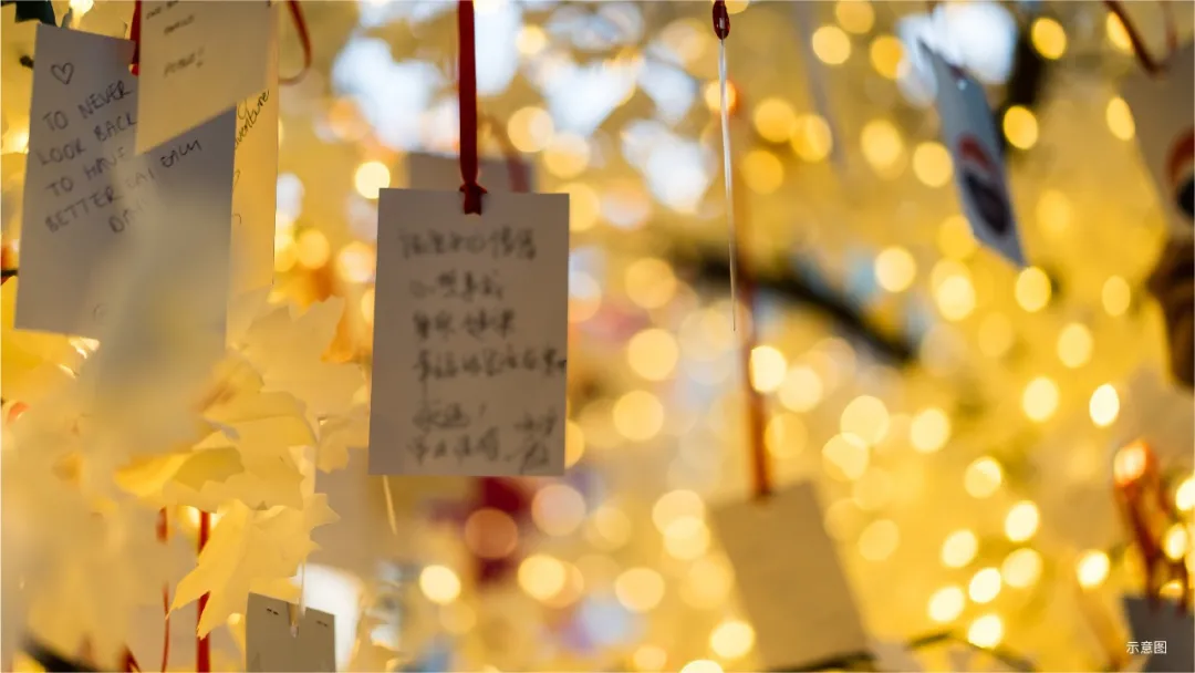 6377448891194273698086863