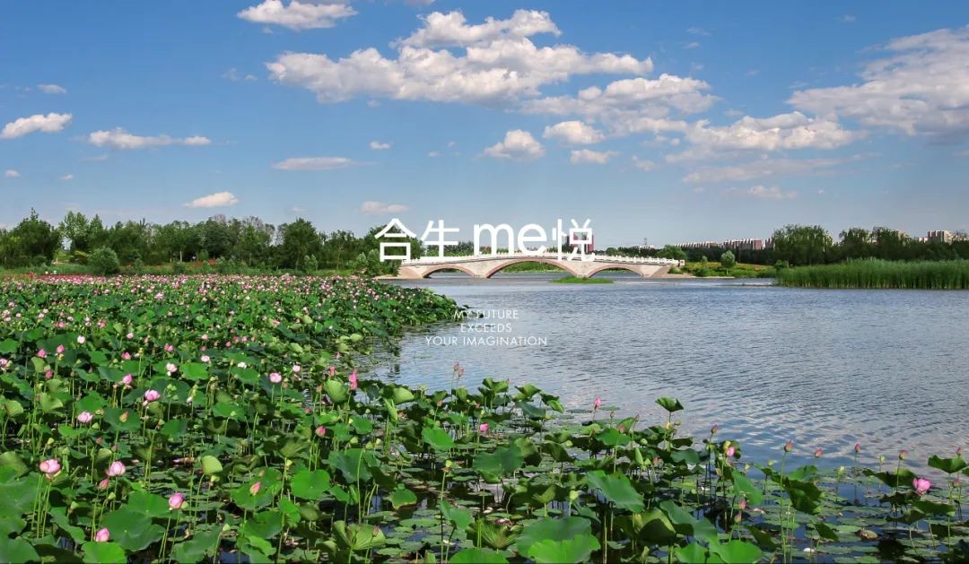 6377455777058921878045836