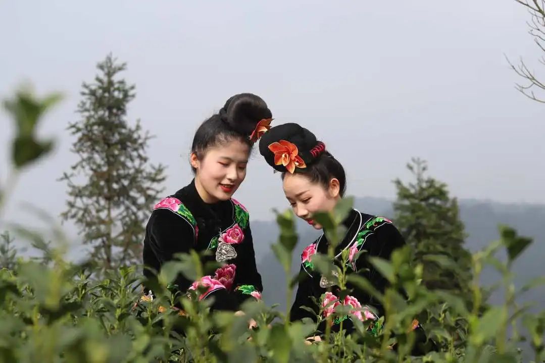 6378796968978834155901274