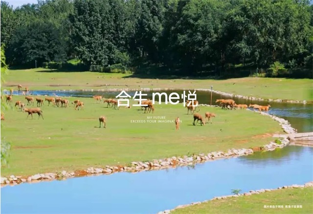 6378797009255357987288126