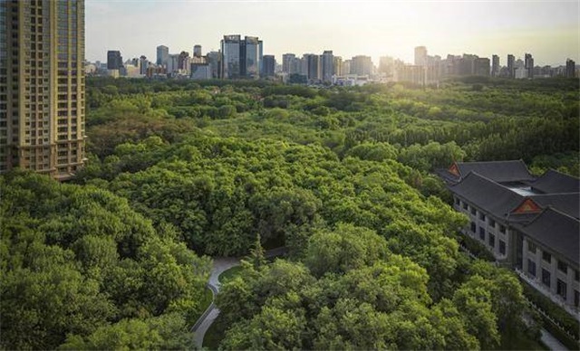 6378797084142775879602597