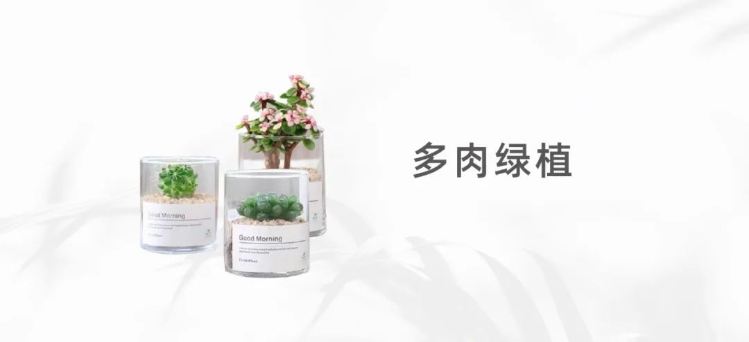 6378829188971020463815578