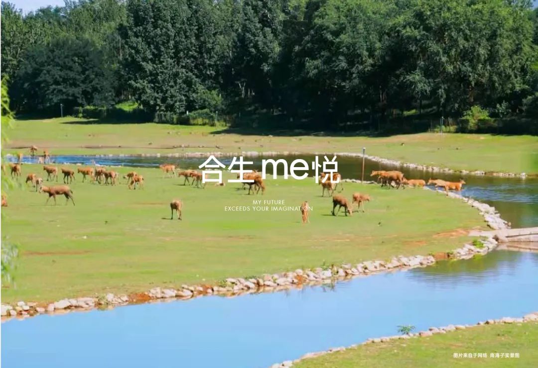 6378829249186654728652996