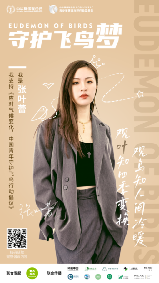 6381516856219373797765528