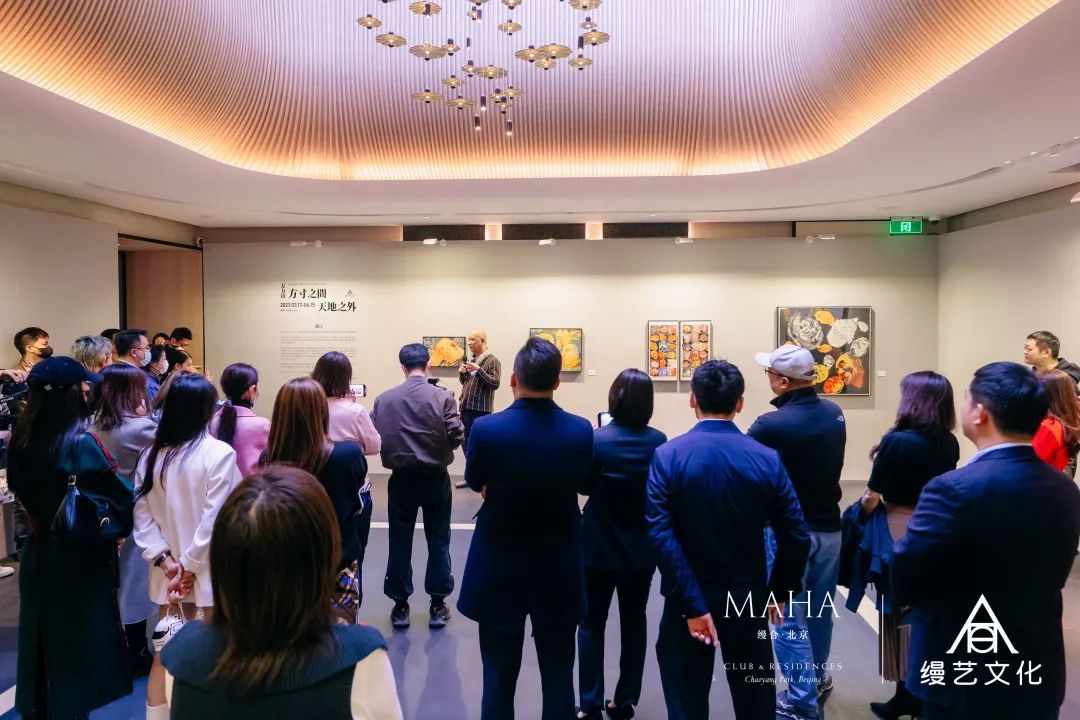 6382259929663127762095390